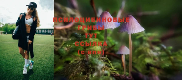 крисы Лиски