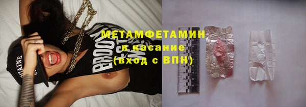 ПСИЛОЦИБИНОВЫЕ ГРИБЫ Арсеньев
