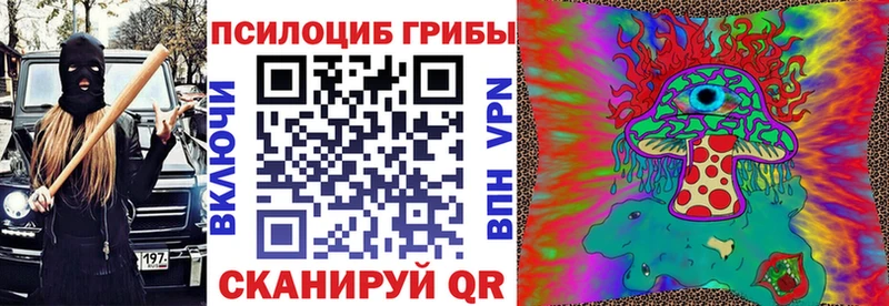 Галлюциногенные грибы ЛСД где купить Адыгейск